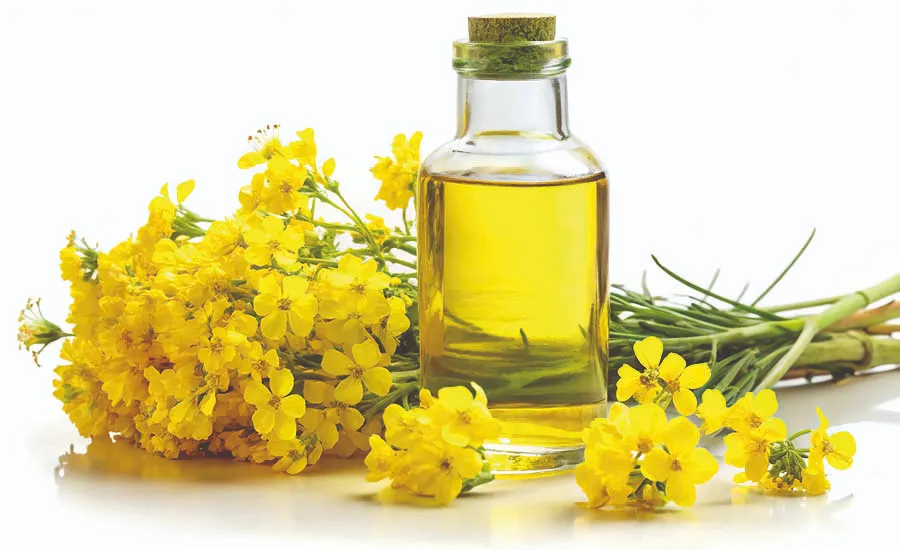 Rapsolje i glassflaske med gule blomster