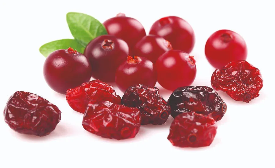 Tørket og ferske tyttebær